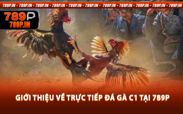 Giới Thiệu Về Trực Tiếp Đá Gà C1 Tại 789P