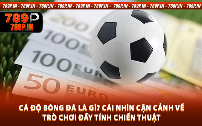 Cá Độ Bóng Đá Là Gì? Cái Nhìn Cận Cảnh Về Trò Chơi Đầy Tính Chiến Thuật