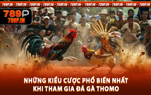 Những Kiểu Cược Phổ Biến Nhất Khi Tham Gia Đá Gà Thomo