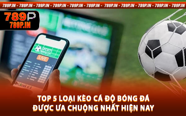Top 5 Loại Kèo Cá Độ Bóng Đá Được Ưa Chuộng Nhất Hiện Nay
